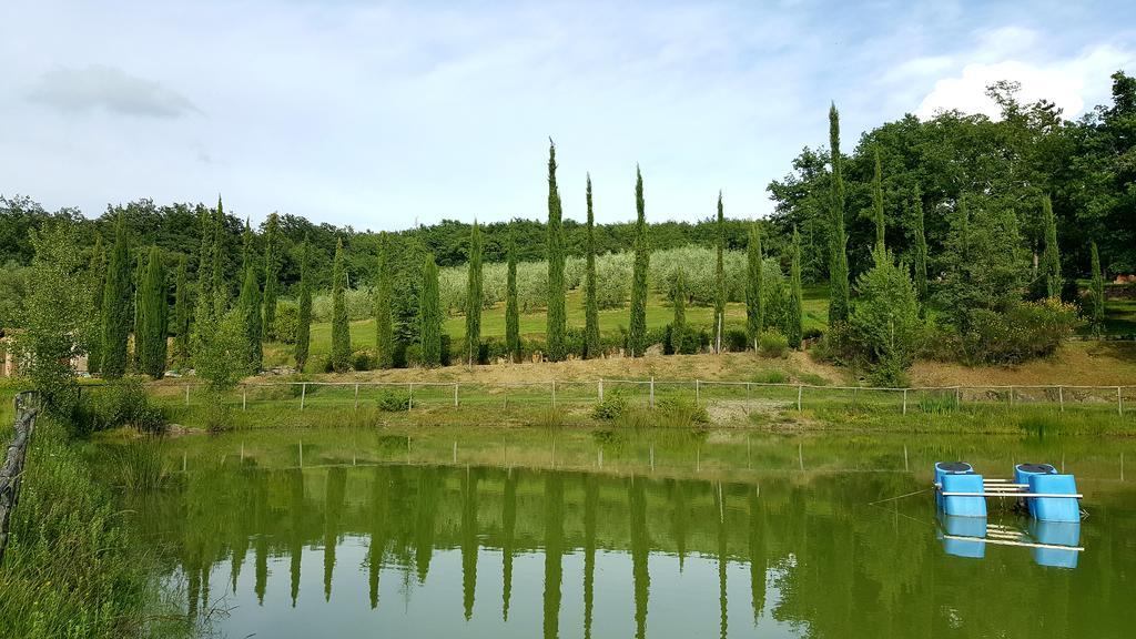 Holiday House Le Selvole Radda in Chianti Exterior photo